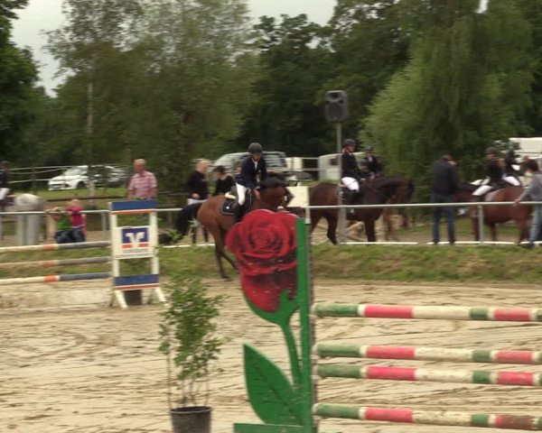 Reitturnier Herbern 2022
