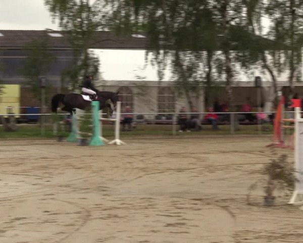 Reitturnier Herbern 2022