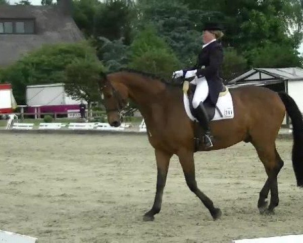 dressage horse Recuerdo (Oldenburg, 1994, from Rohdiamant)