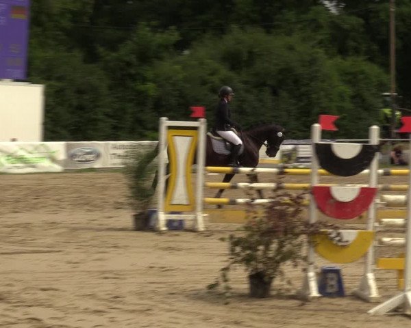 Reitturnier Herbern 2022