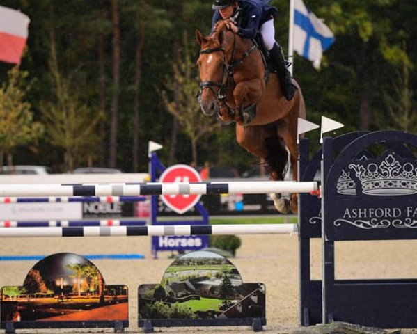 broodmare Naturelle Vh Legitahof Z (Zangersheide riding horse, 2012, from Nabab de Rêve) broodmare Naturelle Vh Legitahof Z (Zangersheide riding horse, 2012, from Nabab de Rêve)