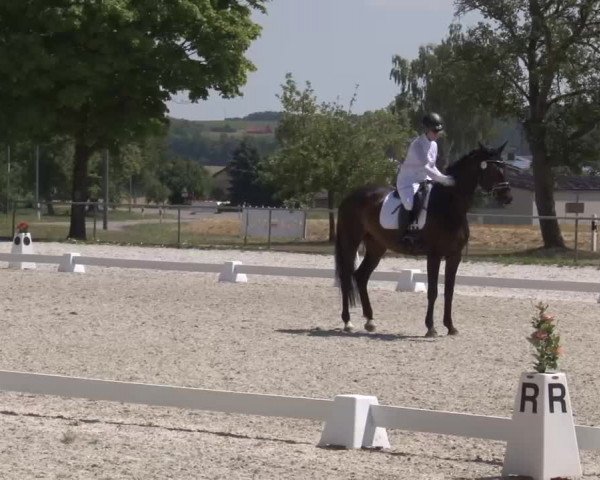 Reitturnier Rot am See- Musdorf 2022