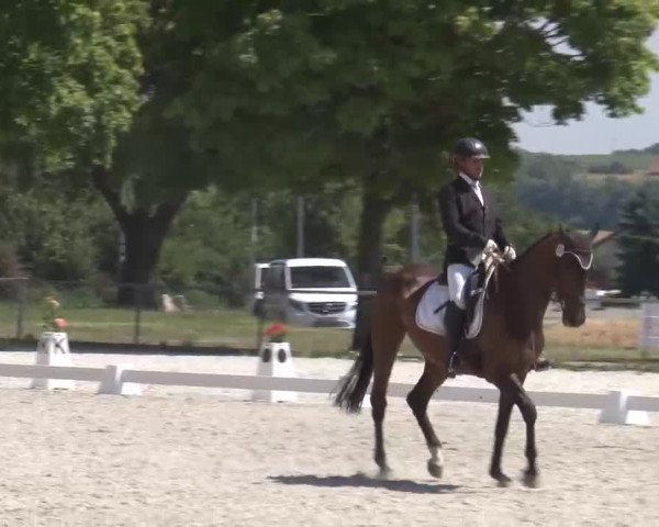 Reitturnier Rot am See- Musdorf 2022