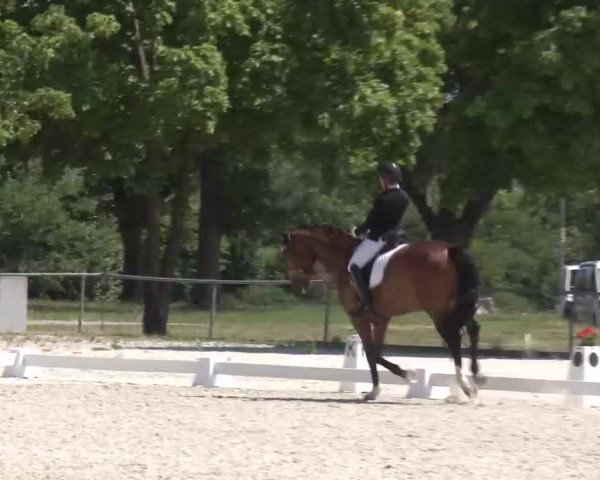 Reitturnier Rot am See- Musdorf 2022