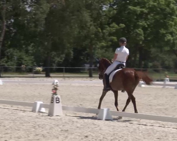 Reitturnier Rot am See- Musdorf 2022