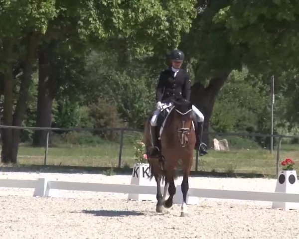 Reitturnier Rot am See- Musdorf 2022