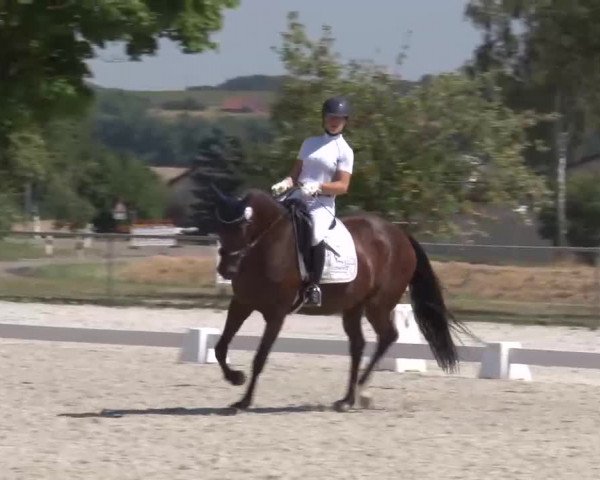 Reitturnier Rot am See- Musdorf 2022