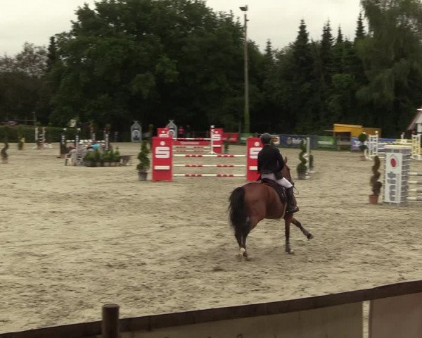 Reitturnier Vlotho-Exter 2022