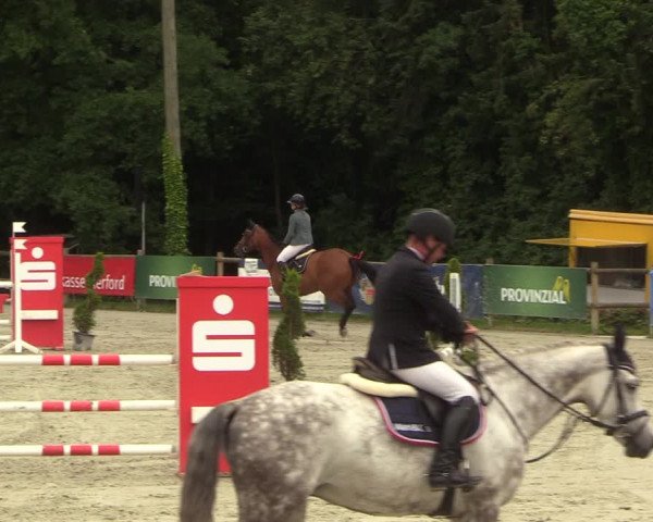 Reitturnier Vlotho-Exter 2022