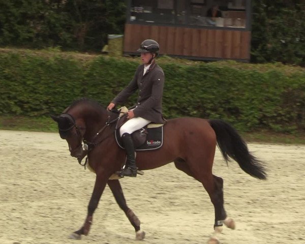 Reitturnier Vlotho-Exter 2022