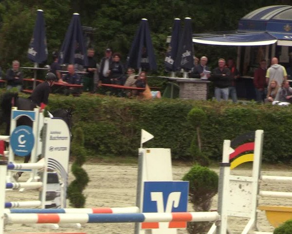 Reitturnier Vlotho-Exter 2022