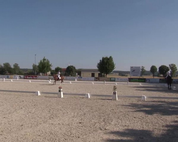 Reitturnier Rot am See- Musdorf 2022