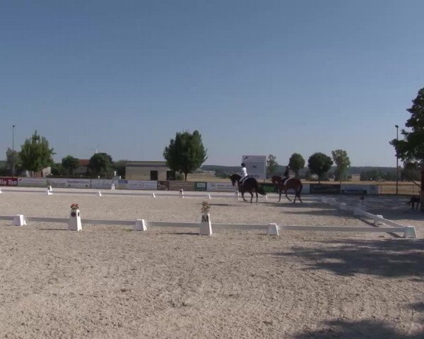 Reitturnier Rot am See- Musdorf 2022
