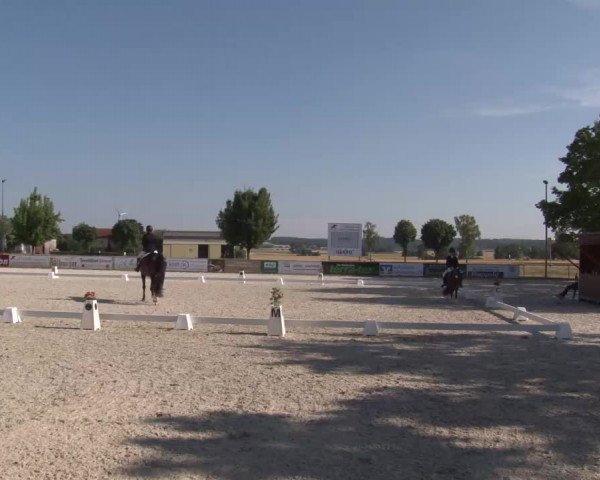 Reitturnier Rot am See- Musdorf 2022