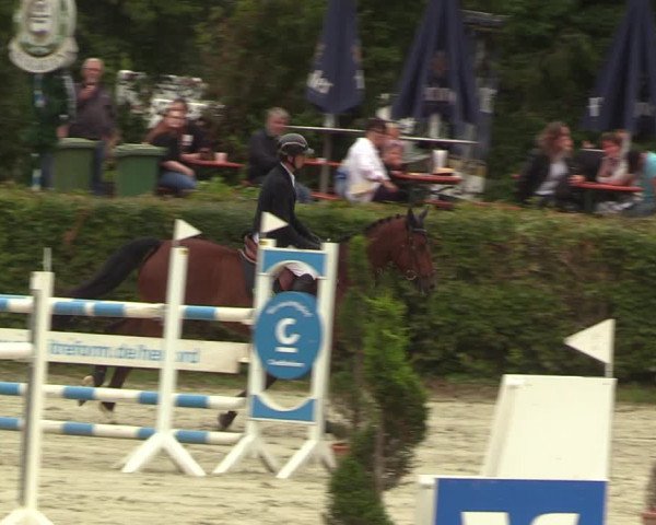 Reitturnier Vlotho-Exter 2022