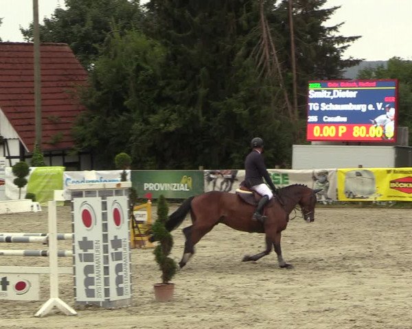 Reitturnier Vlotho-Exter 2022