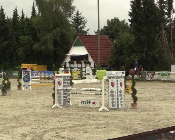 Reitturnier Vlotho-Exter 2022