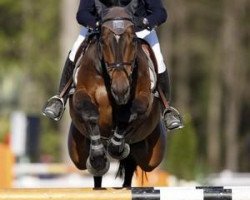 jumper Carpalo (Holsteiner, 2001, from Contender)