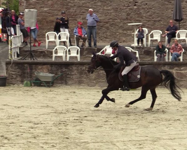 Reitturnier Nörten-Hardenberg 2022