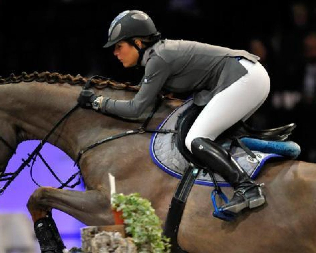 Springpferd West Side V Meerputhoeve (Belgisches Warmblut, 1999, von Baloubet du Rouet)
