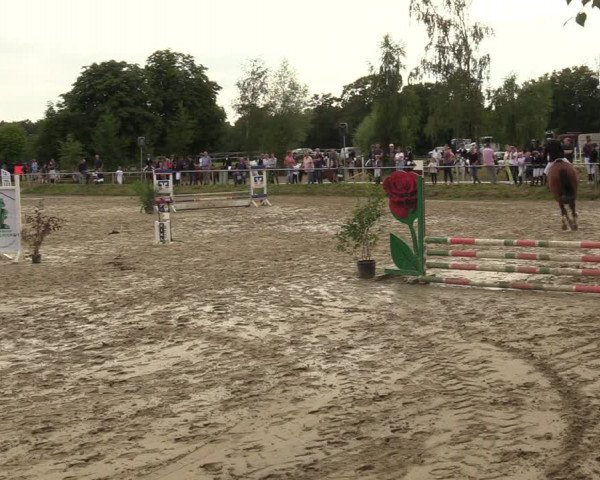 Reitturnier Herbern 2022