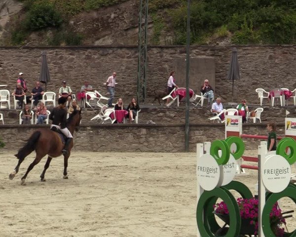 Reitturnier Nörten-Hardenberg 2022