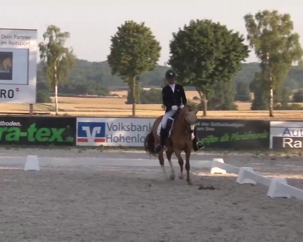 Reitturnier Rot am See- Musdorf 2022