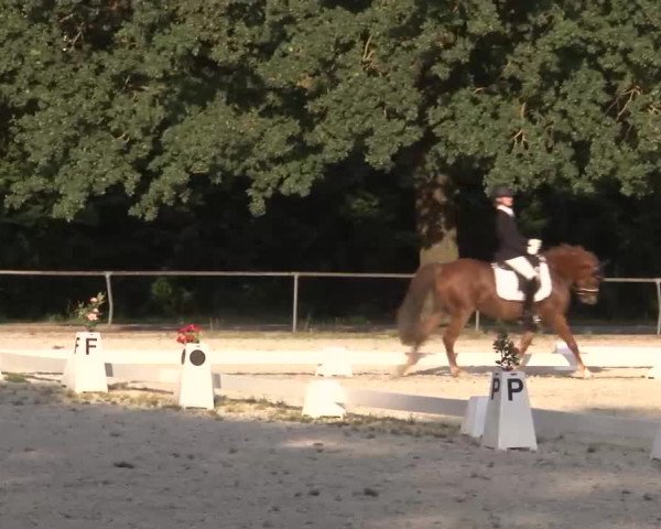 Reitturnier Rot am See- Musdorf 2022