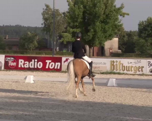 Reitturnier Rot am See- Musdorf 2022