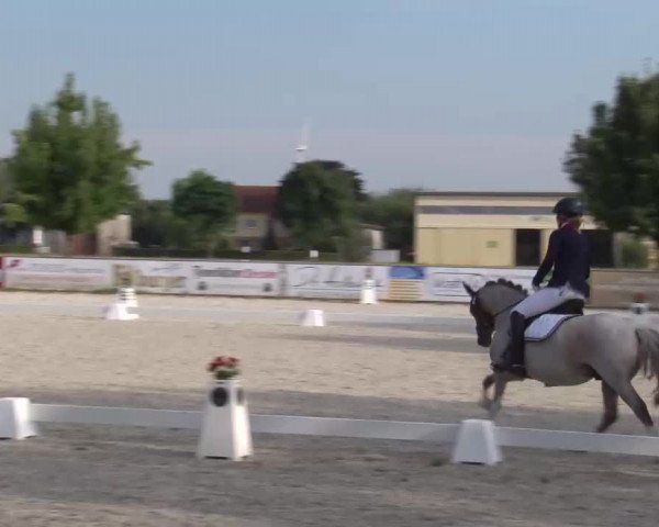 Reitturnier Rot am See- Musdorf 2022