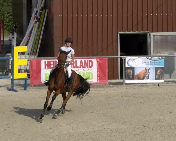 Reitturnier Ehningen 2022