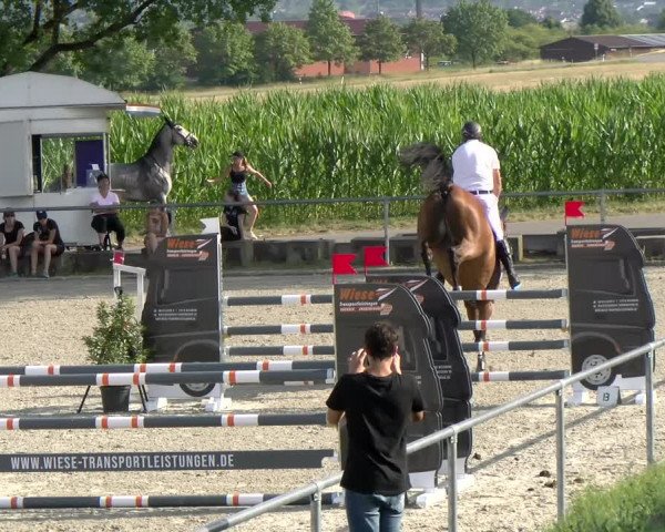 Reitturnier Ehningen 2022