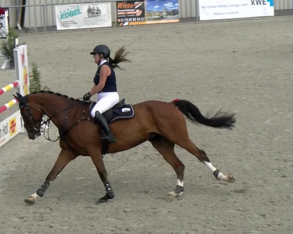 Reitturnier Ehningen 2022