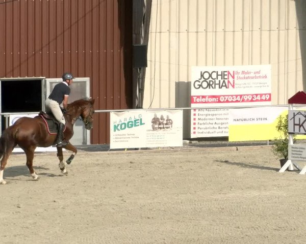 Reitturnier Ehningen 2022