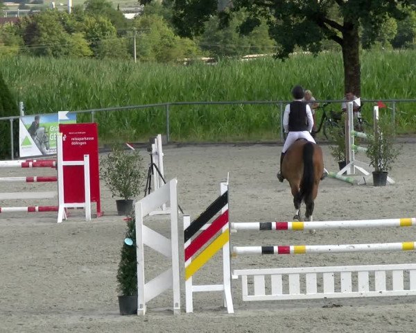 Reitturnier Ehningen 2022
