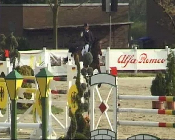 jumper Ziezoo (KWPN (Royal Dutch Sporthorse), 2004, from Sam R)