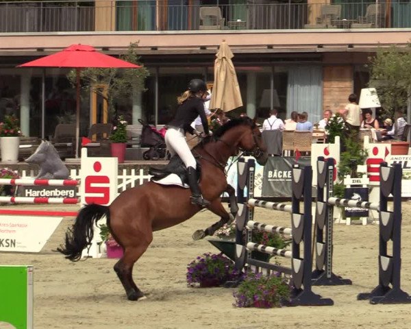 Reitturnier Nörten-Hardenberg 2022