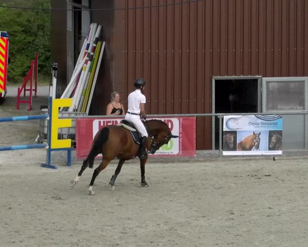 Reitturnier Ehningen 2022