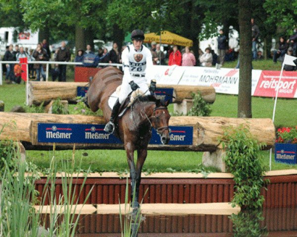 jumper King Artus (Holsteiner, 1996, from King Milford xx)