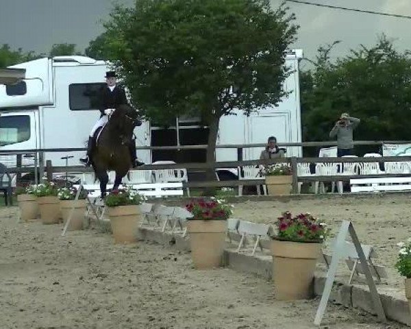 dressage horse Westlife 28 (KWPN (Royal Dutch Sporthorse), 2003, from Jazz)