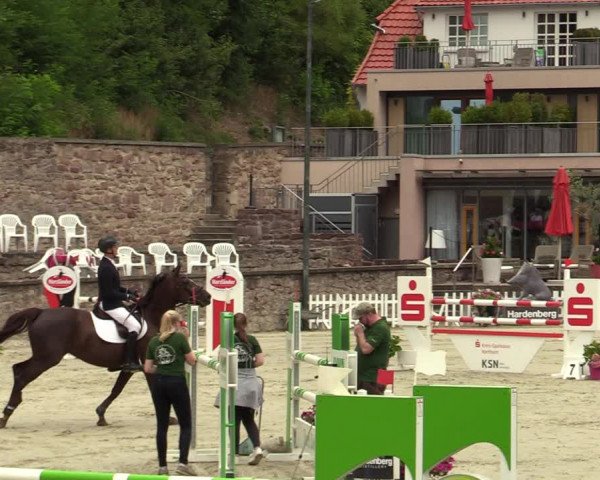 Reitturnier Nörten-Hardenberg 2022
