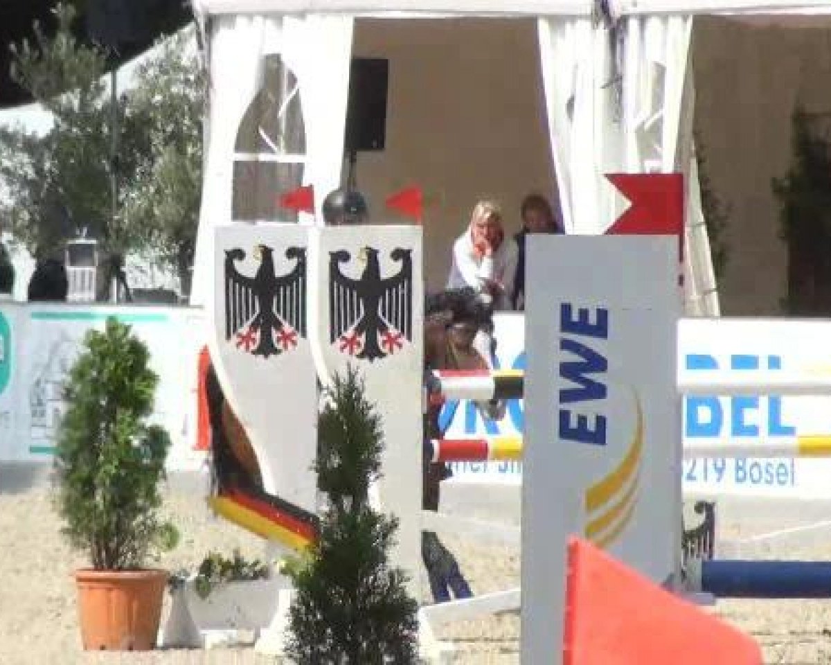 Deckhengst Dow Jones 34 (Deutsches Reitpony, 2000, von Douglas)