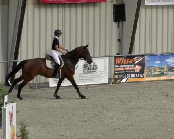 Reitturnier Ehningen 2022