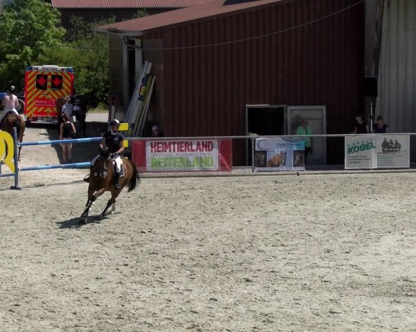 Reitturnier Ehningen 2022