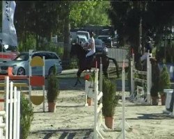 Springpferd Joana 30 (Oldenburger, 2004, von Quidam's Rubin)