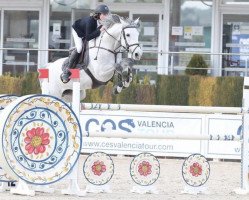 jumper Enterprise Jt Z (Zangersheide riding horse, 2012, from Eldorado van de Zeshoek)