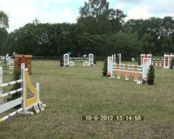jumper Desperado L (Hanoverian, 2002, from Drosselklang II)