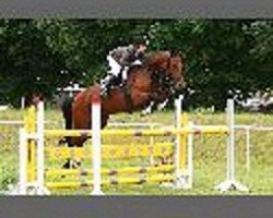 broodmare Lalü 3 (Sachse, 2002, from Lewinski)