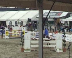 Springpferd Uiventje (KWPN (Niederländisches Warmblut), 2001, von Heartbreaker)