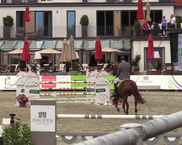 Reitturnier Nörten-Hardenberg 2022